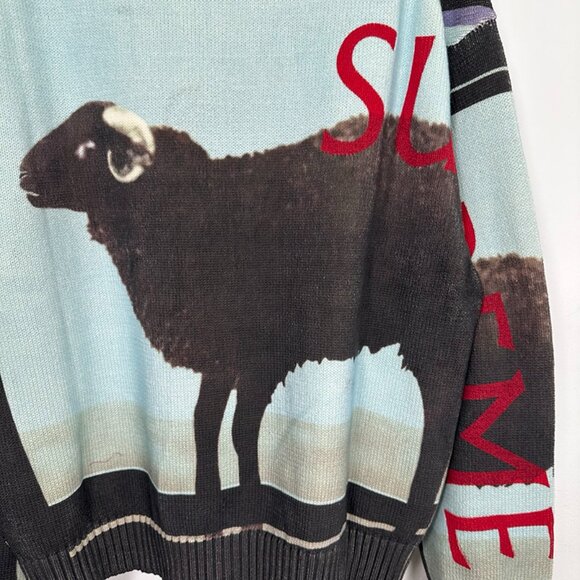 Supreme x Damien Hirst Collaboration Pullover Knit Sweater - Picture 6 of 9